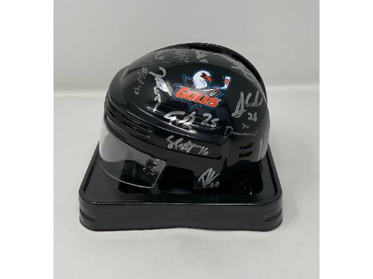 Image of the Item