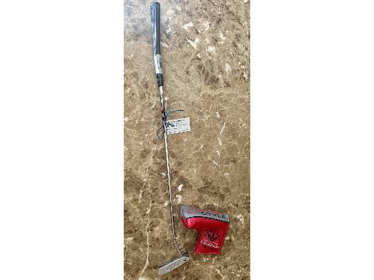 Image of the Item