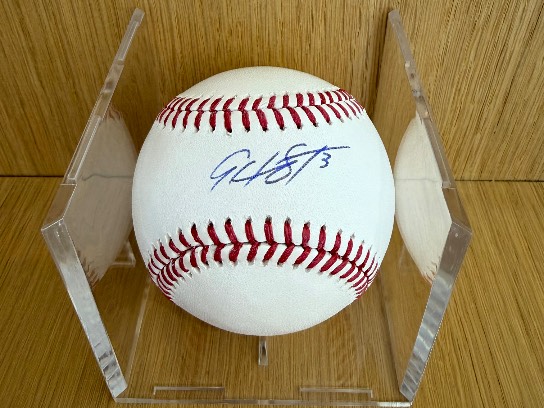 Image of the Item