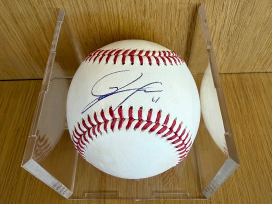 Image of the Item