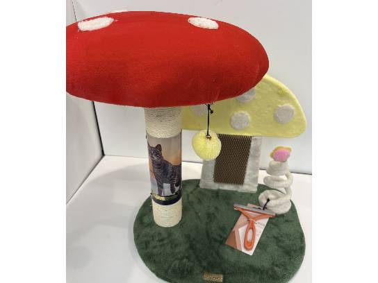Image of the Item