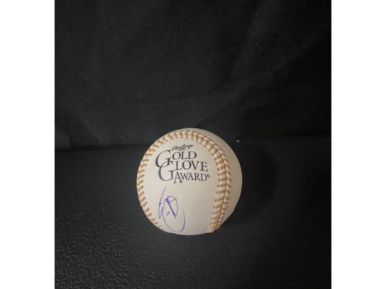 Image of the Item