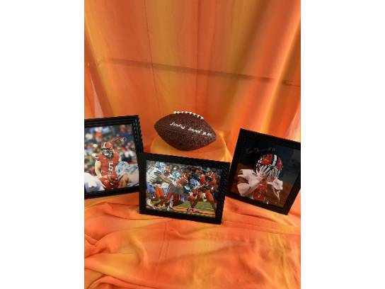 Image of the Item