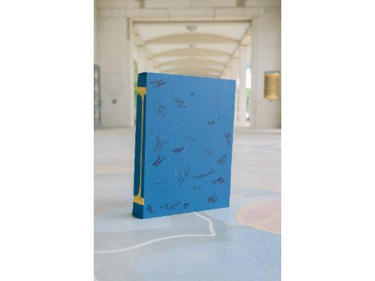 Image of the Item