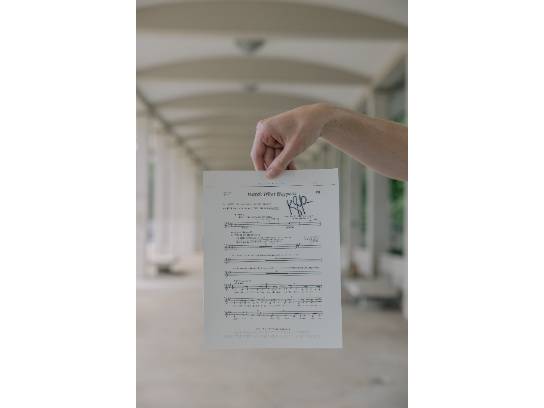 Image of the Item