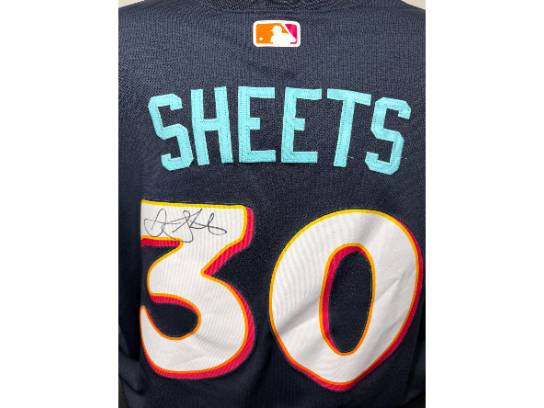 Image of the Item
