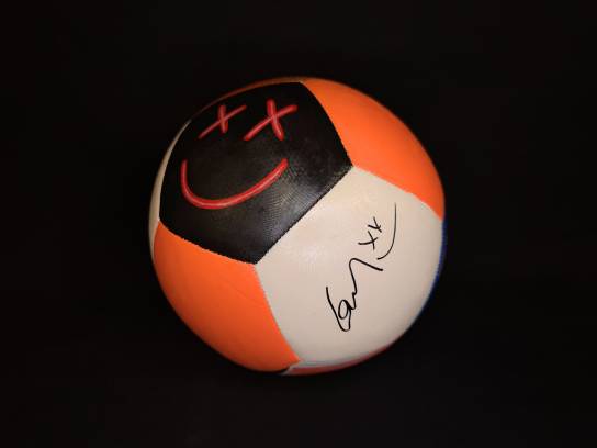 Image of the Item