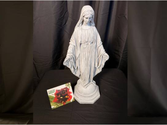 Image of the Item