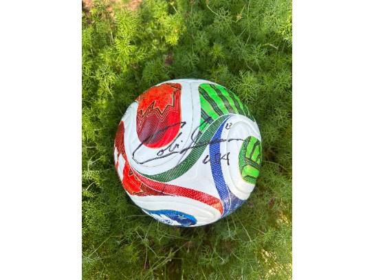 Image of the Item