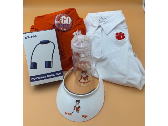 Image of the Item