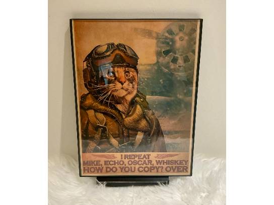 Image of the Item