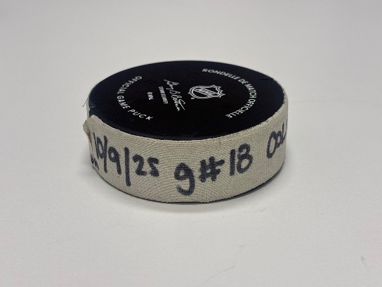Image of the Item