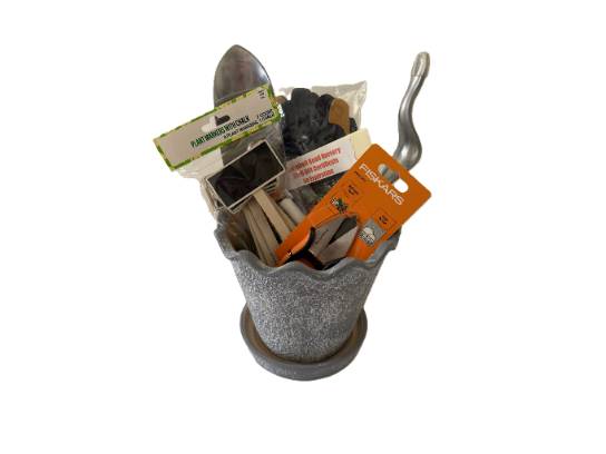 Image of the Item