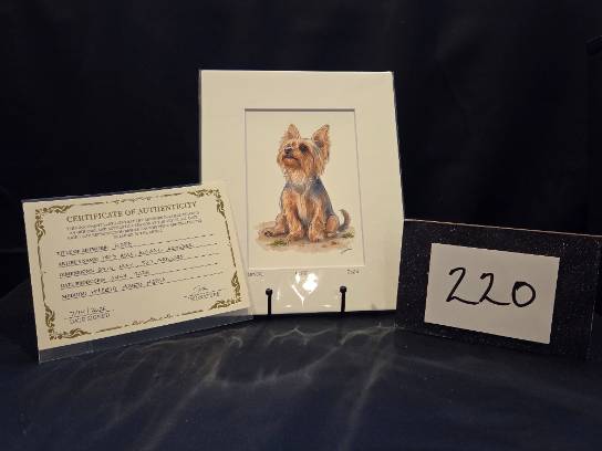 Image of the Item