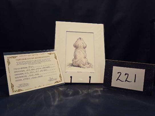 Image of the Item