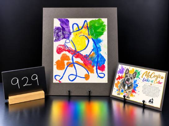 Image of the Item
