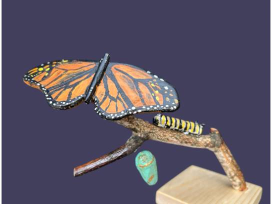 Image of the Item
