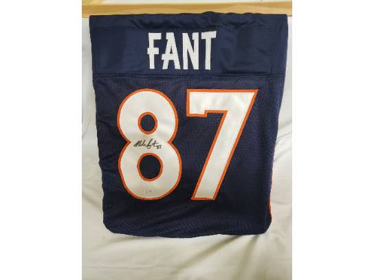 Image of the Item