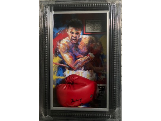 Image of the Item