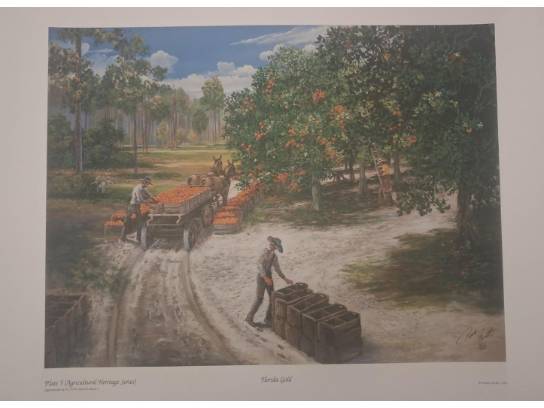 Image of the Item