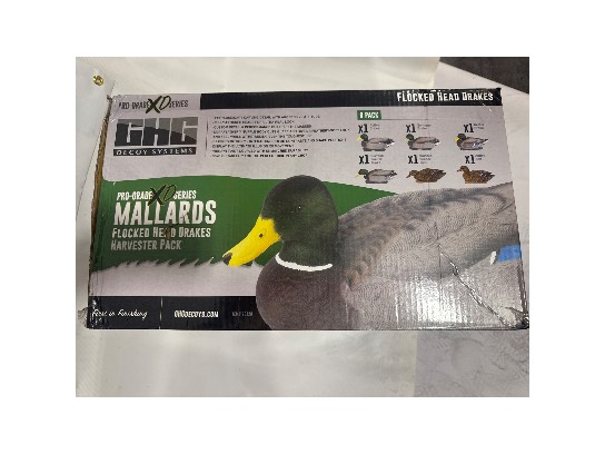 Image of the Item