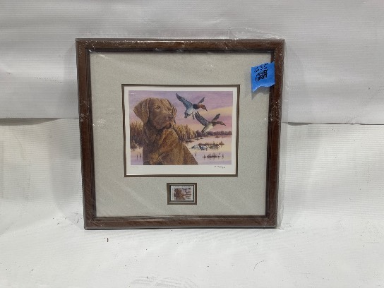 Image of the Item