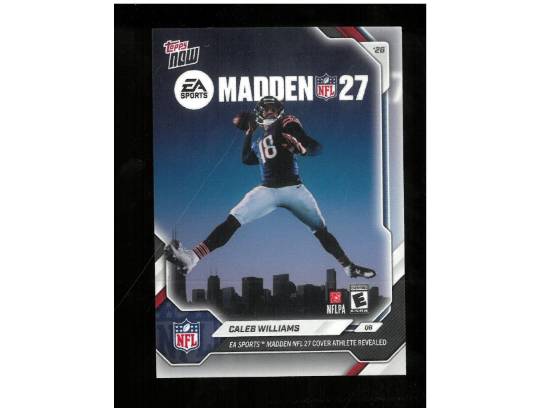 Image of the Item