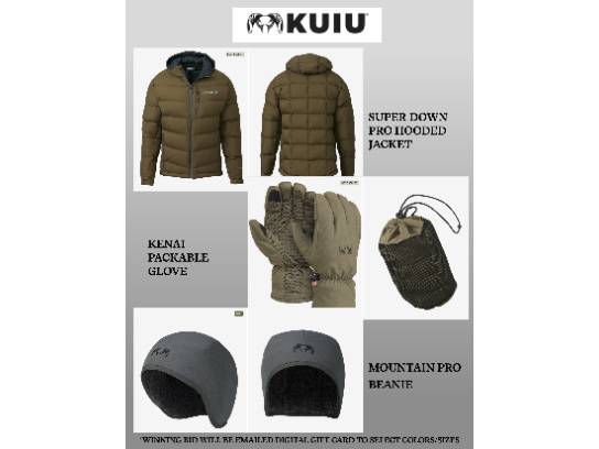 Image of the Item