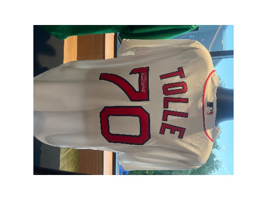 Image of the Item