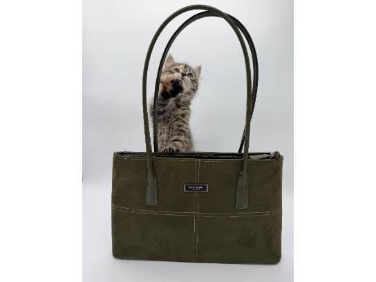 Image of the Item