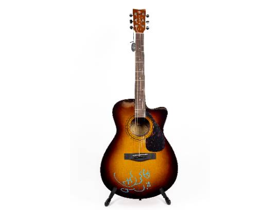 Image of the Item