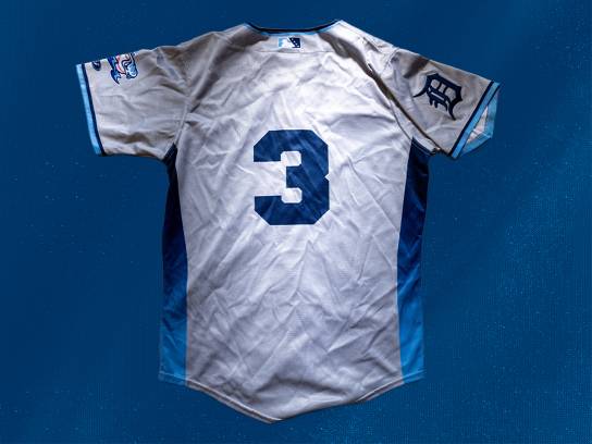 Image of the Item