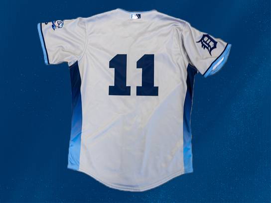 Image of the Item