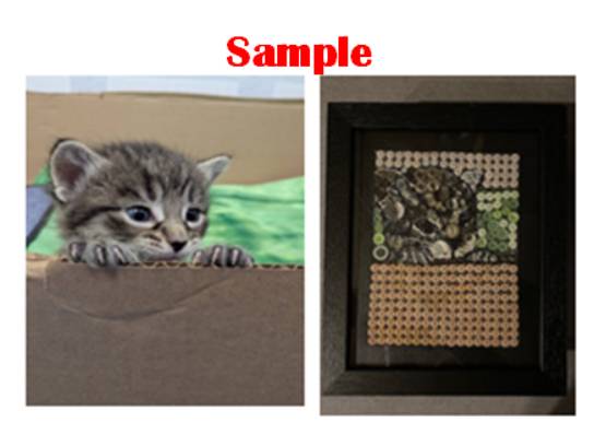 Image of the Item