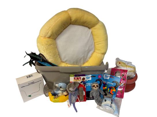 Image of the Item