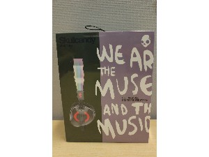 Image of the Item