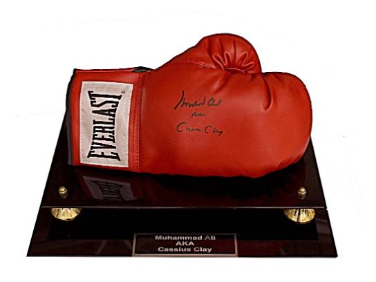 Image of the Item