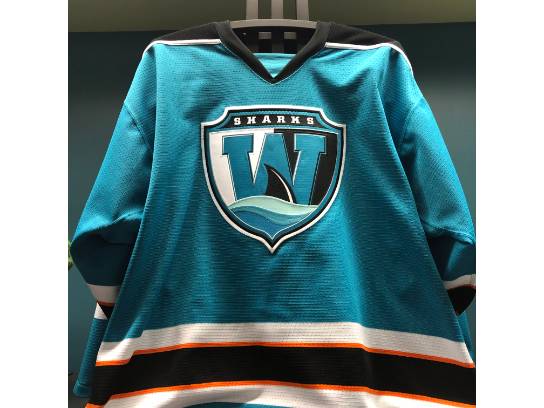 Image of the Item