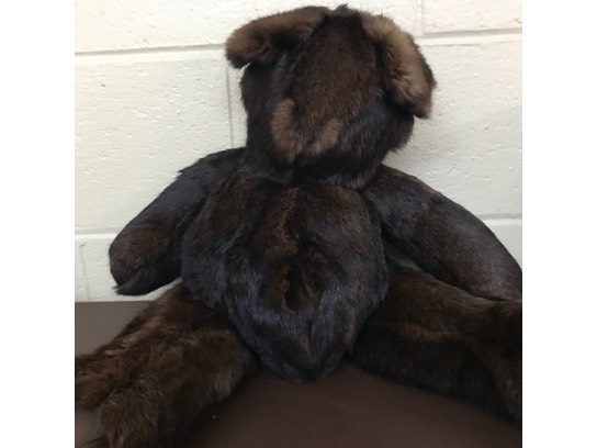 Image of the Item