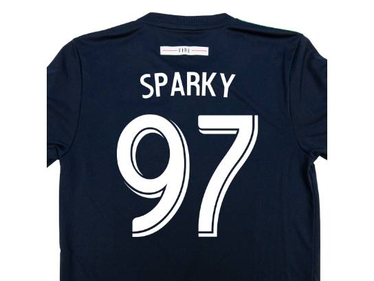 Image of the Item