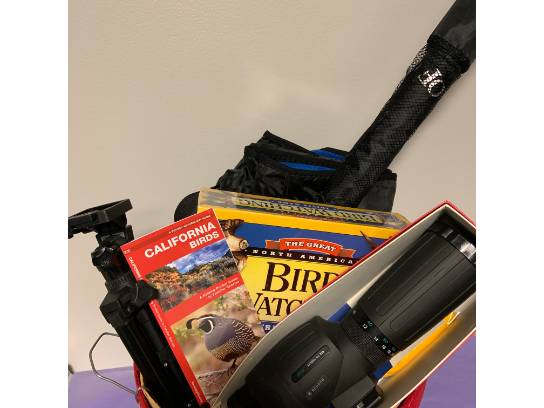 Image of the Item