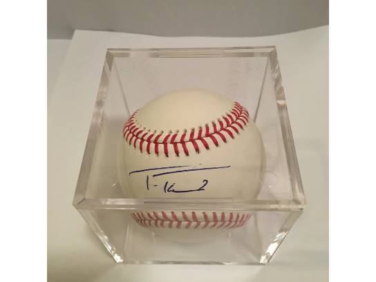 Image of the Item