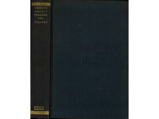 Image of the Item
