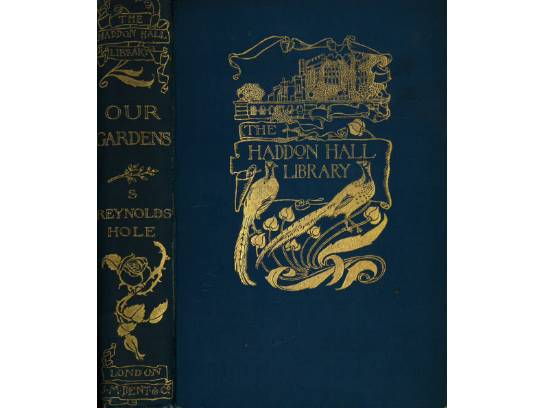 Image of the Item
