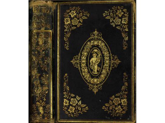 Image of the Item