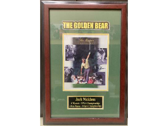 Image of the Item