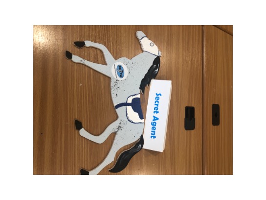Image of the Item