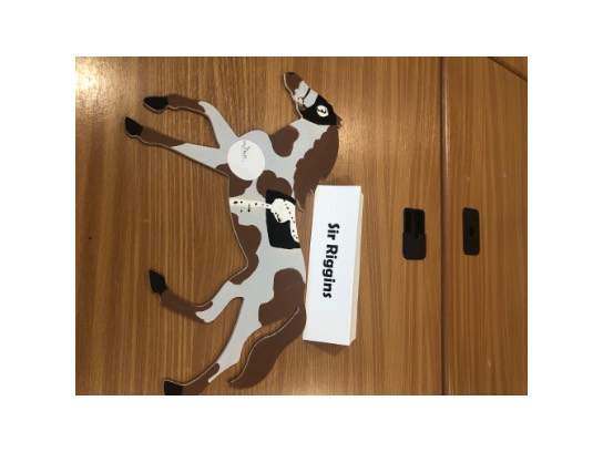 Image of the Item
