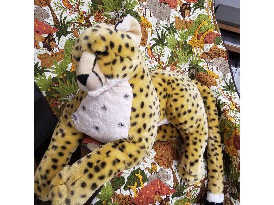 Image of the Item