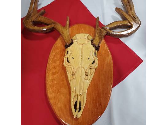 Image of the Item